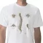 T-shirt anatomiche; Colonna vertebrale W41031